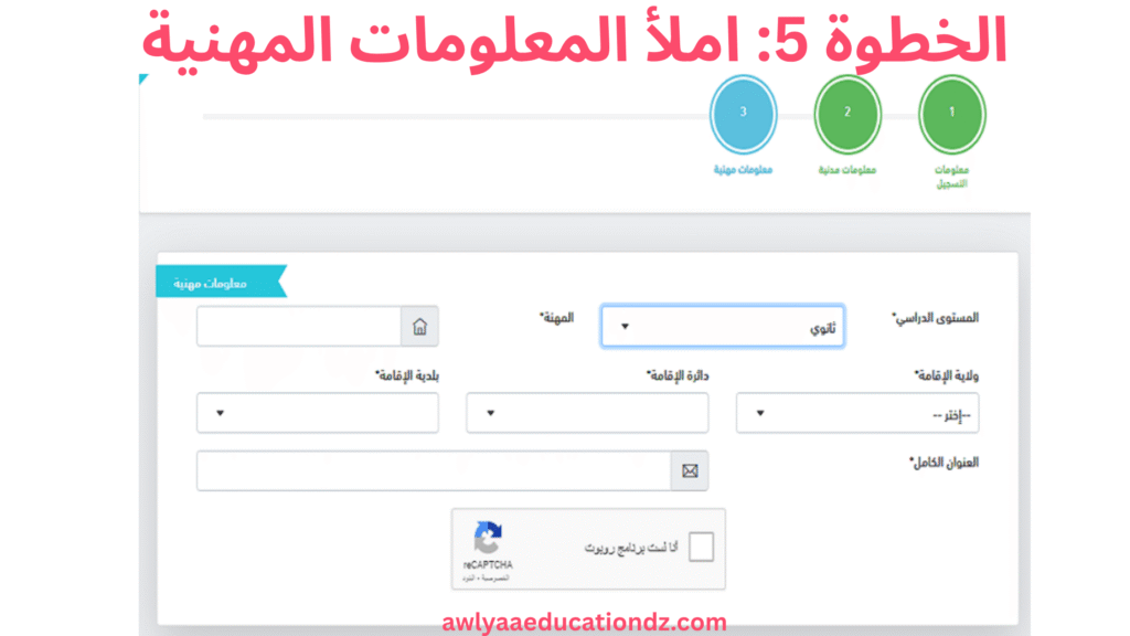 املأ المعلومات المهنية